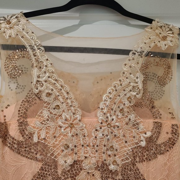 Stunning Peach Lace Gown with Train - Picture 8 of 12